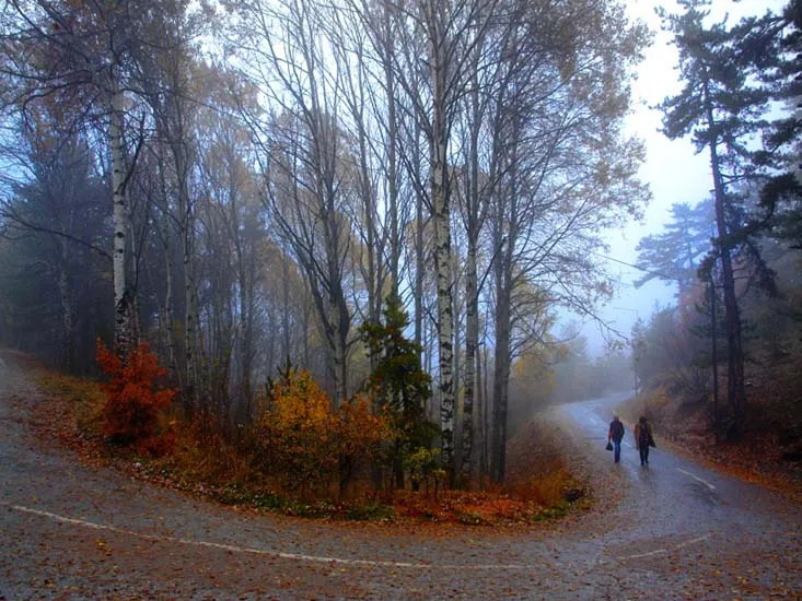Yozgat Çamlığı Granit Parke Yol Yapım İşi